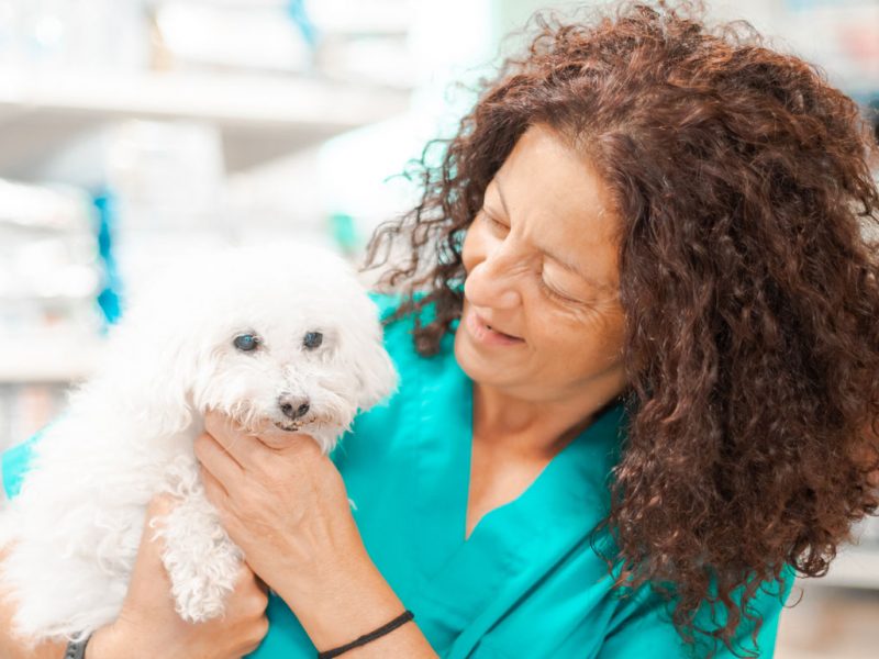 equip-veterinari-esplgues-nosaltres equip-veterinari-esplgues-nosaltres
