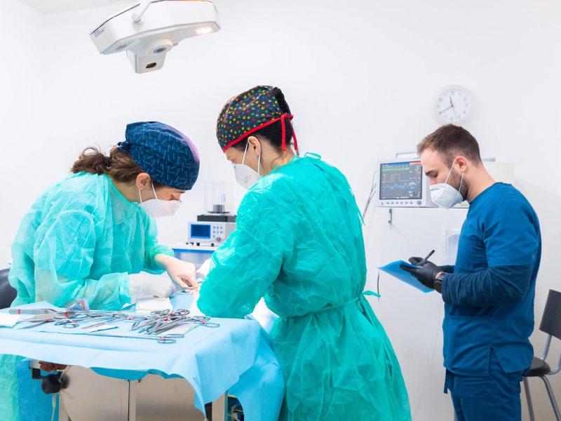 veterclinic-serveis veterclinic-serveis